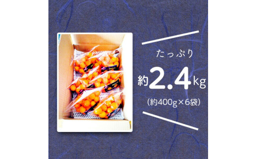 【訳あり】完熟きんかんLサイズ 約400g×6袋(2026年2月中旬発送開始) N053-YZA365