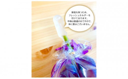 【田口ファミリーファーム】旬のぶどう(4房~8房) N053-YZD0143