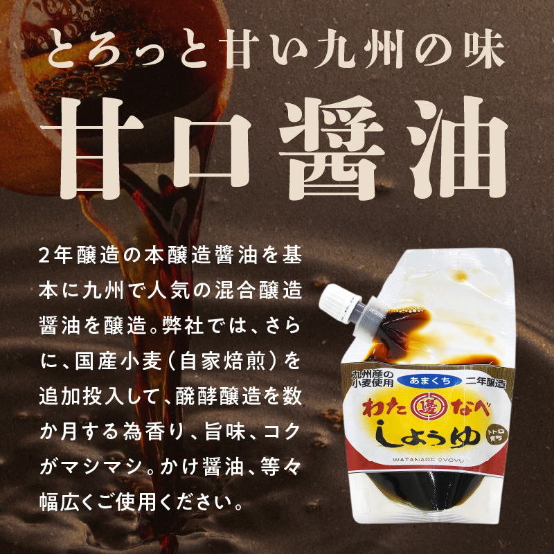 生(き)醤油と甘口醤油のセット　N060-YZA0227