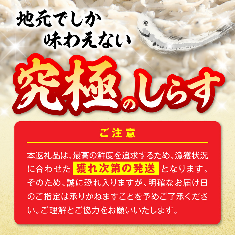 【とれたて直送】極しらす干し 1kg N065-YA4442