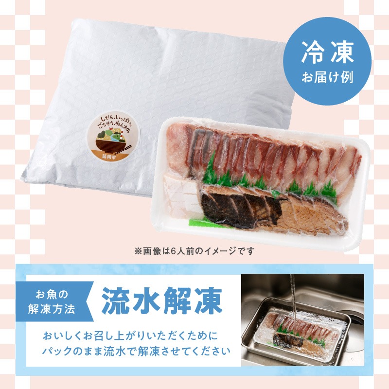 【6ヶ月定期便】大和のこだわり漁師のお刺身4人前 N072-YD0189_2