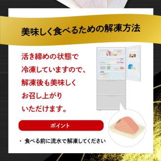 高級大和ブリのお造り4人前 N072-YA188