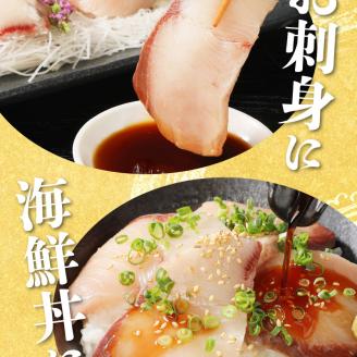 【12ヵ月定期便】大和海商 大和ブリの切り身 N072-YG0184