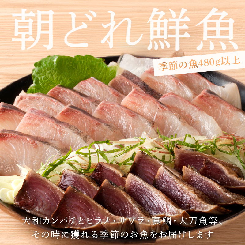 【12ヶ月定期便】大和の高級お刺身6人前 N072-YG0183_1