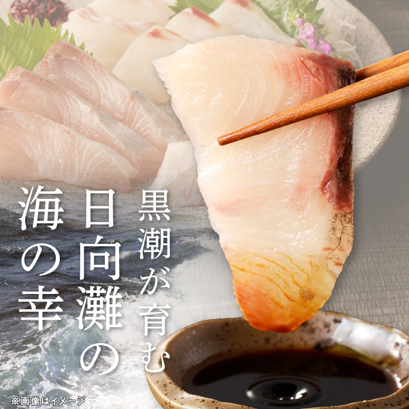 【12ヶ月定期便】大和の高級お刺身6人前 N072-YG0183_2