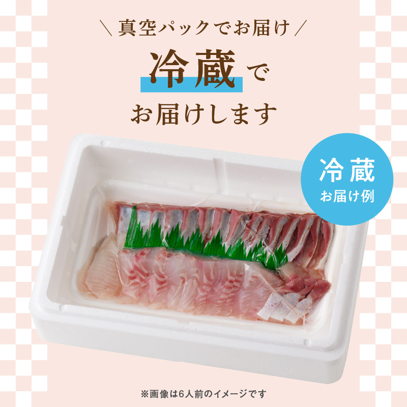 【12ヶ月定期便】大和のこだわり漁師のお刺身4人前 N072-YG0181_1