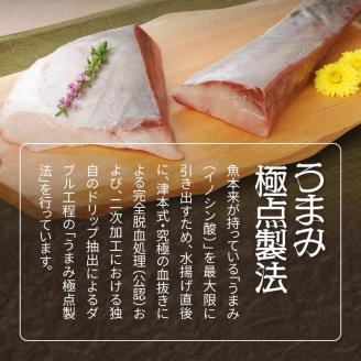 数量限定日向灘ぶり(はまち)うまみ極点製法食べきりﾊﾟｯｸ300g N124-YZA3304