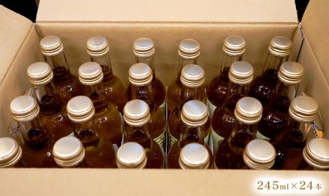 【のべおか道の駅】のべおかジンジャーエール24本 N009-YZB219