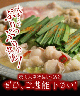 焼肉大臣特製もつ鍋(2～3人前) N066-YZA573