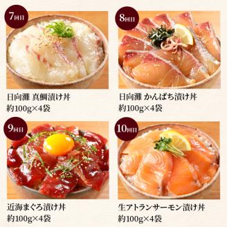 お魚の漬け丼バラエティ10回定期便 N019-YG0190