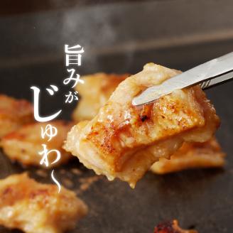 【宮崎産】豚直腸(ホルモン)タレ漬け500g(3～5人前)N061-YA0456