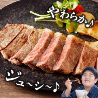 宮崎牛サーロインステーキ2枚(A5等級) N061-YC806