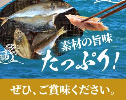 干物セットC N014-YZB914