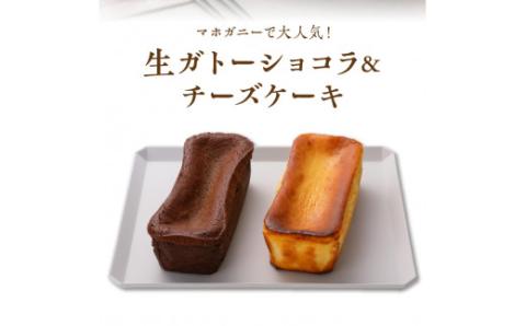生ガトーショコラ＆チーズケーキセット N0153-YZB225