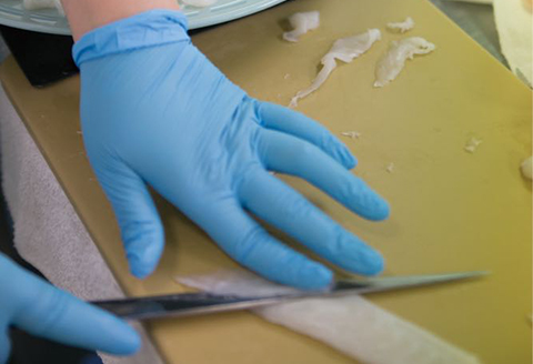 とらふぐ刺身セット N013-YZC001