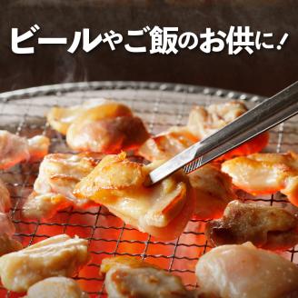 中尾商店の焼肉セット N001-YZA153
