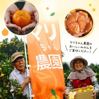 青島みかん 5kg N0132-YA4436