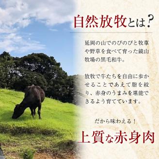 無添加ローストビーフ約200g【贈答向け】 N0105-YA2239