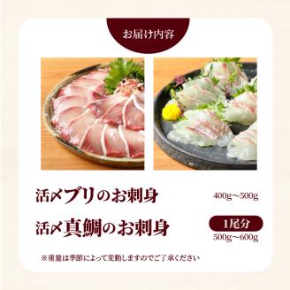 【冷蔵】延岡産活〆ブリと真鯛の新鮮お刺身セット N019-YB824