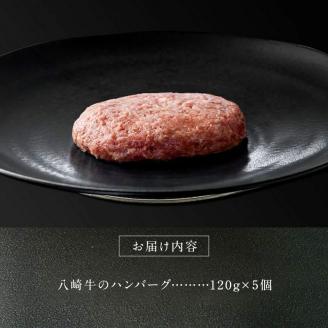 八崎牛のハンバーグ120g×5個 N0105-YZA4408