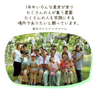 【田口ファミリーファーム】ぶどうﾐｯｸｽ(瀬戸ジャイアンツ入り)2~4房(約1.5kg~2kg)(2026年7月中旬発送開始) N053-YZB072