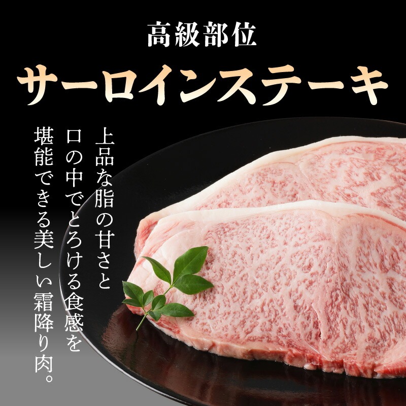宮崎牛 サーロインステーキ600g N0140-YB727