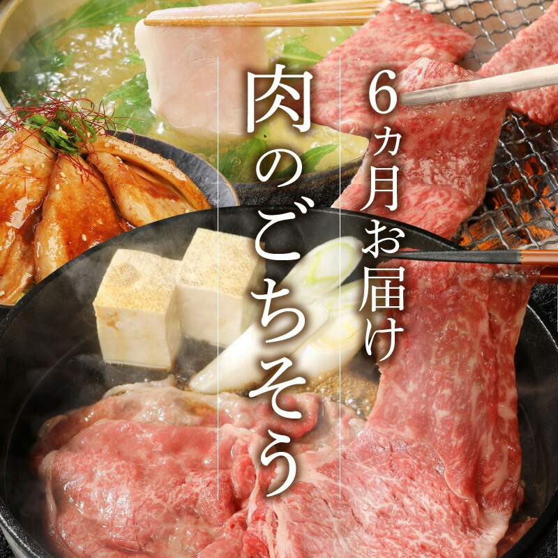 【6ヶ月定期便】宮崎牛と宮崎県産豚食べ比べ N0147-YG0247