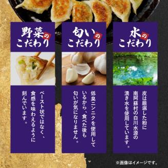 【ぎょうざの店 黄楊】手作り餃子　60個（餃子30個×２パック）N0099-YA4419