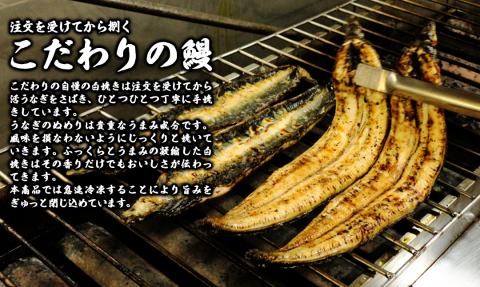 【急速冷凍】北川鰻の白焼き（2尾） N010-YA665