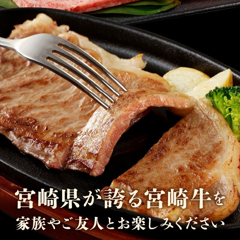 宮崎牛 サーロインステーキ200g N0140-YA4426