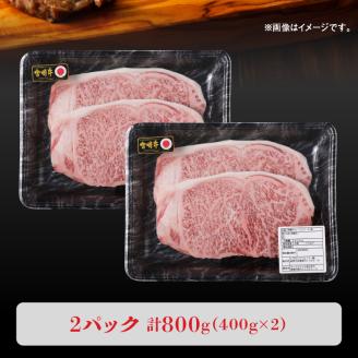 宮崎牛 サーロインステーキ800g N0140-YC527