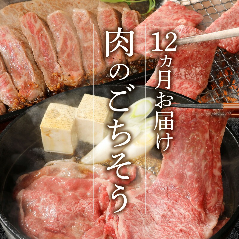 【12ヶ月定期便】宮崎牛食べ比べ N0147-YH068