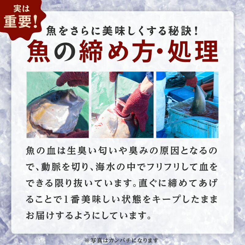 冷凍マダイアラ約650ｇ入り10パック N015-YA767