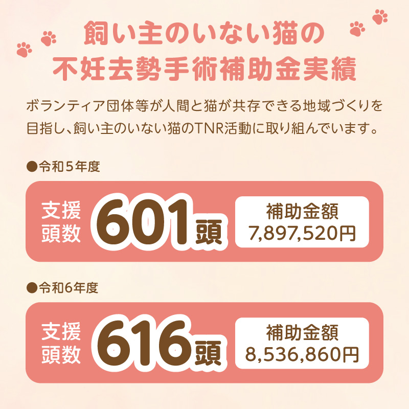 人と猫が互いに幸せになれるまちを目指して『不妊去勢手術支援プロジェクト』（返礼品はありません） N0159-9999997