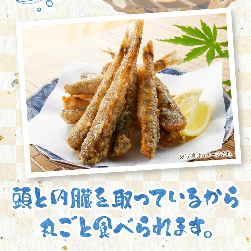 延岡産めひかり無頭小サイズ500g×2袋 N0184-YA2268