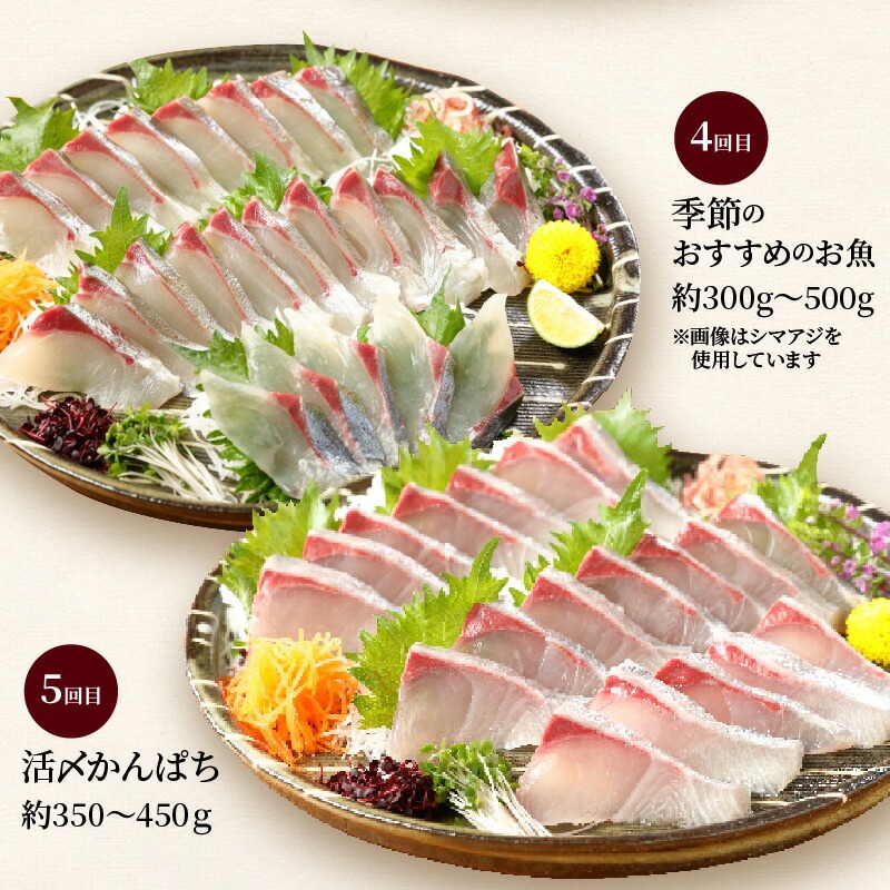 【お楽しみ定期便】延岡産活〆鮮魚の豪華お刺身（6ヶ月定期便） N019-YF073