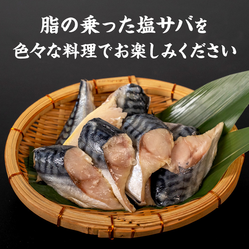 【訳あり】塩サバ切り身昆布味（500g×2）N0212-YA0506