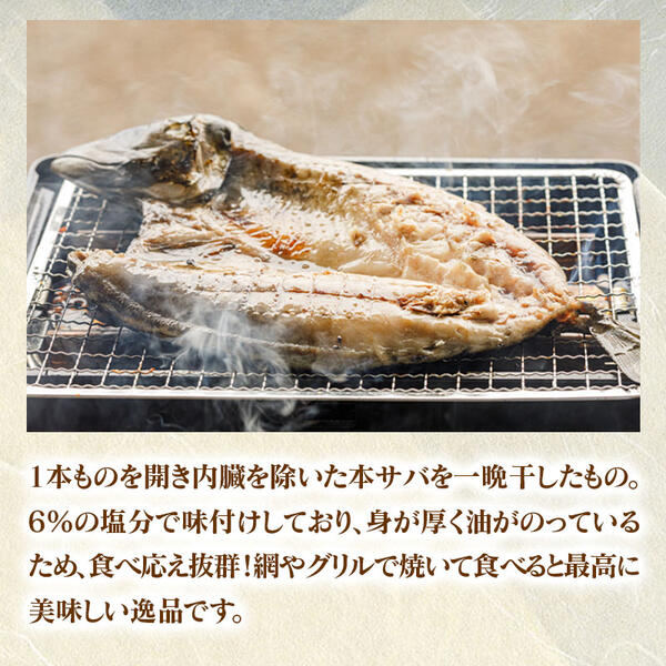 ひむか本サバの一夜干しと炙り、さばﾌｨﾚのｾｯﾄ N025-YB085