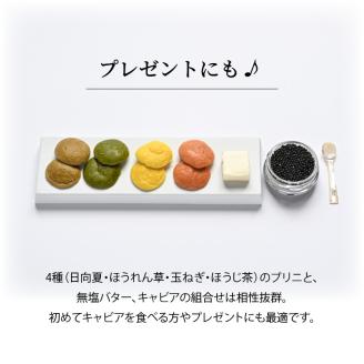 宮崎キャビア1983(12g)&カラフルブリニセット N027-YC910