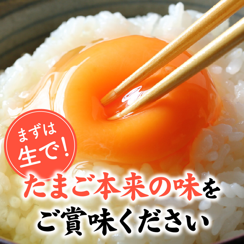 延岡産もみじ玉子80個 N033-YZA234