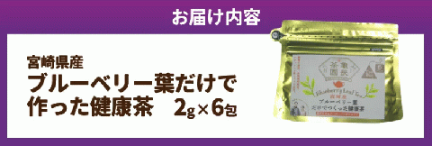 宮崎県産 ブルーベリー葉 だけで作った 健康茶 ポリフェノール　N048-YZA095