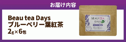 Beau tea Days ブルーベリー葉 紅茶　N048-YZA096