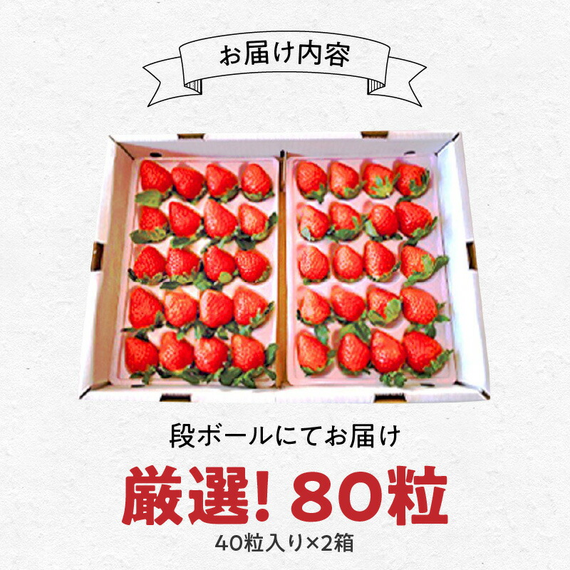 【田口ファミリーファーム】いちご(さがほのか) 40粒入り×2箱(1月中旬発送開始) N053-YB337