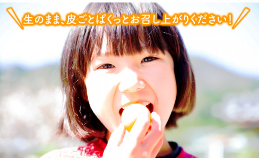 【田口ファミリーファーム】皮ごとぱくっと!完熟きんかん3L　40玉×2箱(2026年2月中旬発送開始) N053-YZB231