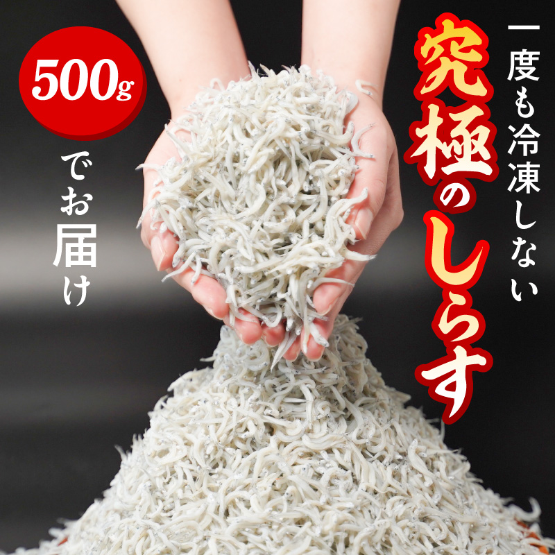 【とれたて直送】極しらす干し 500g N065-YA0509
