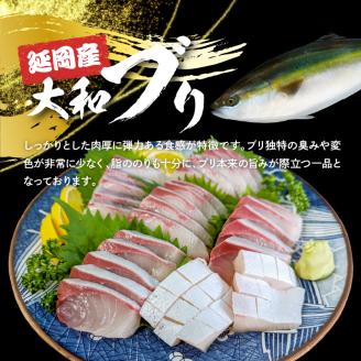 高級大和ブリのお造り4人前 N072-YA188