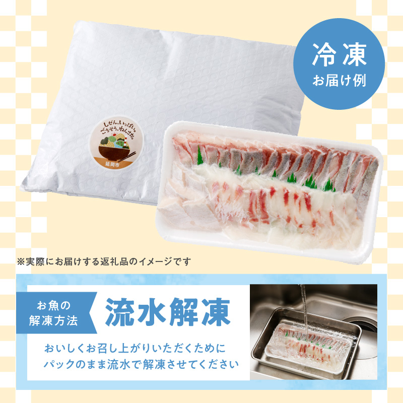 【単月お届け】大和の高級お刺身6人前 N072-YA4402_1