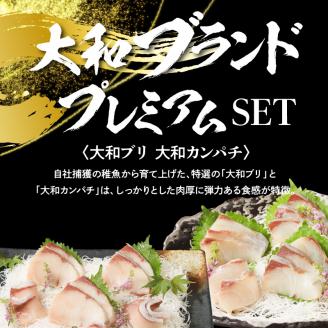 【大和海商】大和ブランドプレミアムSETブリカンパチ小分け刺身海の幸 N072-YA848