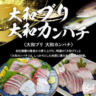 高級大和ブリ･大和カンパチお造り計8人前 N072-YA667