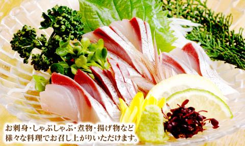 【大和ブリ】半身(ﾌｨﾚ)約1kg×2枚かぶと付き N072-YD0190